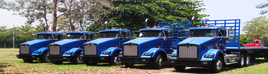 Contamos con un parque automotor propio y totalmente renovado.